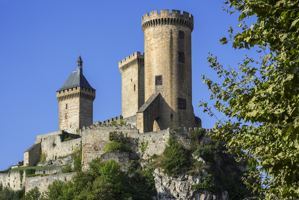 12th century Château de Foix in Ariège, France  Picture Board by Arterra 