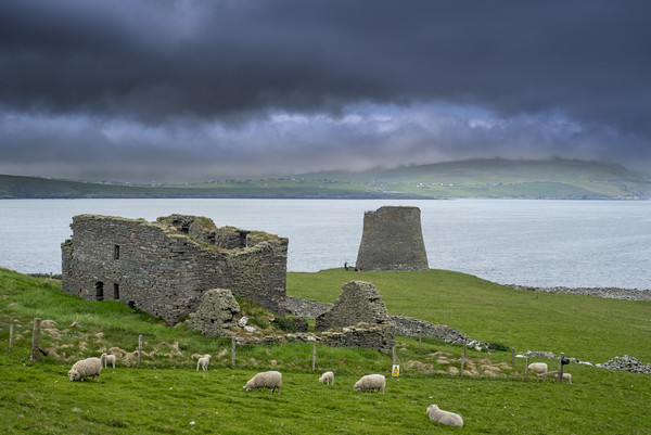 Mousa Broch and The Haa, Shetland Picture Board by Arterra 