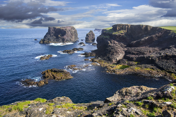 Sea Stacks and Cliffs at Eshaness, Shetland, Scotl Picture Board by Arterra 