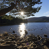 Buy canvas prints of Loch an Eilein, Scotland by Arterra 