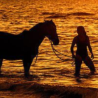 Buy canvas prints of Horse and Rider at Sunset by Arterra 