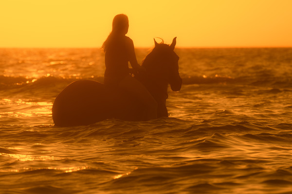 Horsewoman at Sunset Picture Board by Arterra 