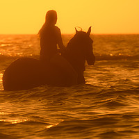 Buy canvas prints of Horsewoman at Sunset by Arterra 
