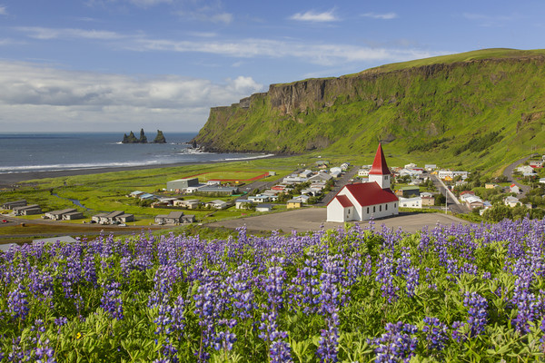 Vik, Iceland Picture Board by Arterra 