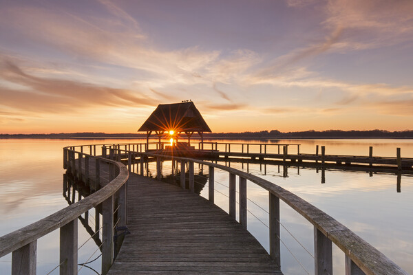 Wooden Jetty at Sunrise Picture Board by Arterra 
