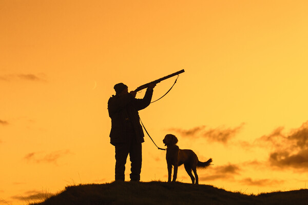 Hunter with Dog at Sunset Picture Board by Arterra 