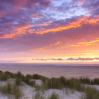Buy canvas prints of Dunes on Texel at Sunset by Arterra 
