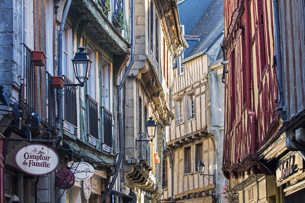 Old Timber Framed Houses in Vannes, Brittany Picture Board by Arterra 