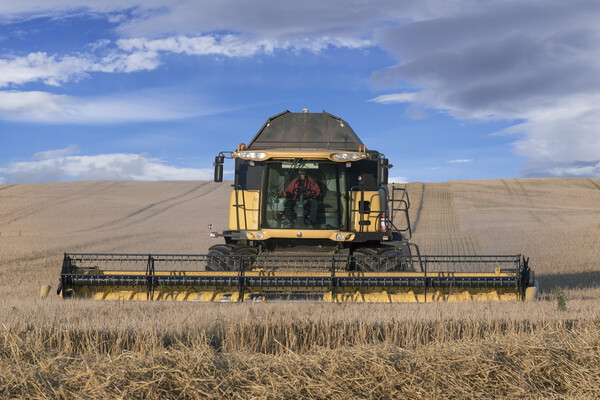 Combine Harvester Picture Board by Arterra 