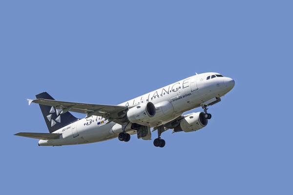 Star Alliance Airbus A319-112 Picture Board by Arterra 