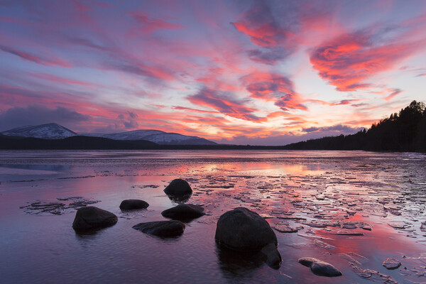 Loch Morlich at Sunset, Cairngorms National Park,  Picture Board by Arterra 