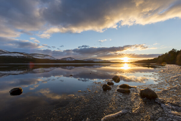 Loch Morlich in Winter, Scotland Picture Board by Arterra 