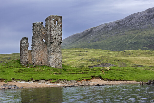 Ardvreck Castle and Loch Assynt, Scotland Picture Board by Arterra 