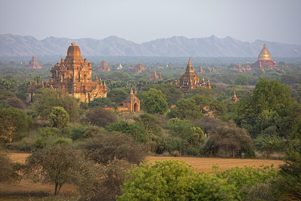 Buddhist Temples in Ancient City Bagan, Burma Picture Board by Arterra 