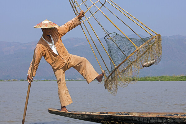 Intha Fisherman on Inle Lake, Myanmar Picture Board by Arterra 