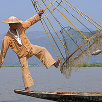 Buy canvas prints of Intha Fisherman on Inle Lake, Myanmar by Arterra 