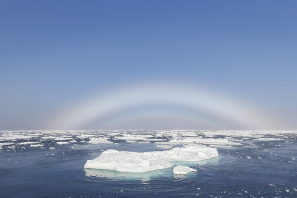 Fogbow over the Arctic Sea Picture Board by Arterra 