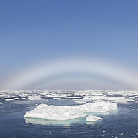 Buy canvas prints of Fogbow over the Arctic Sea by Arterra 