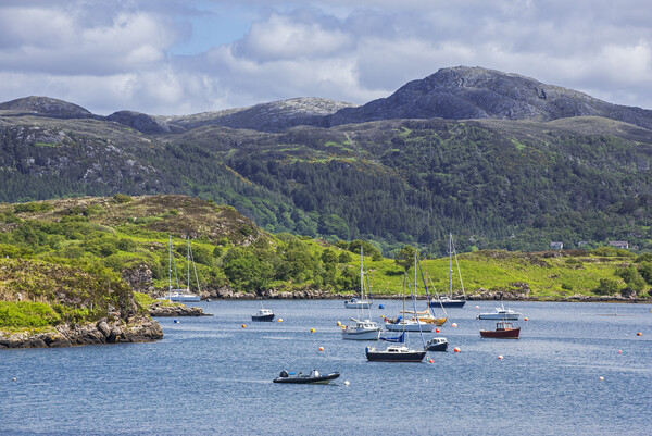 Sailing Boats at Badachro, Scotland Picture Board by Arterra 
