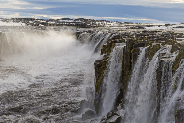 Selfoss Waterfall in Winter, Iceland Picture Board by Arterra 
