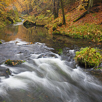 Buy canvas prints of Stream in Bohemian Switzerland in Autumn by Arterra 