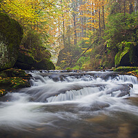 Buy canvas prints of River in Autumn Forest by Arterra 