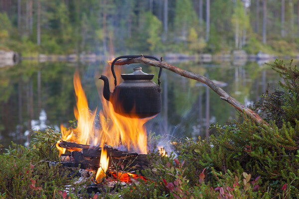 Kettle Boiling Water over Campfire Picture Board by Arterra 