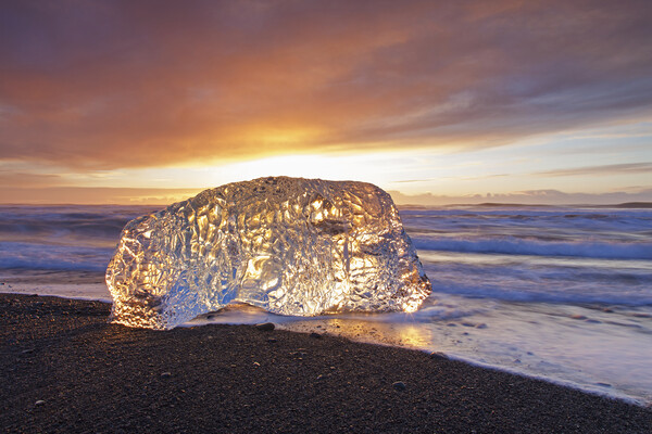 Melting Ice on Beach, Iceland Picture Board by Arterra 