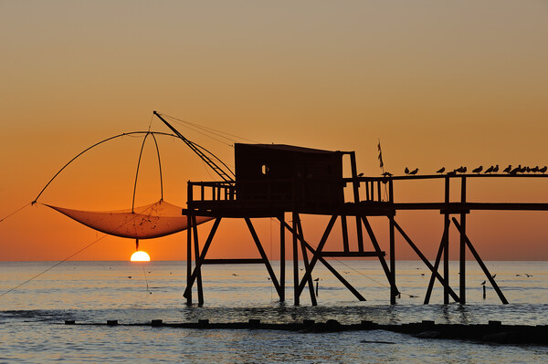 Fishing Hut with Lift Net, Loire-Atlantique Picture Board by Arterra 