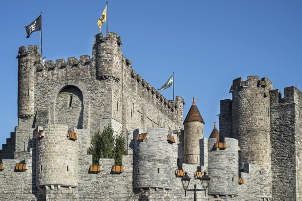 The Medieval Fort Gravensteen in Ghent, Belgium Picture Board by Arterra 