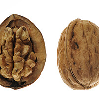 Buy canvas prints of Two English Walnuts by Arterra 