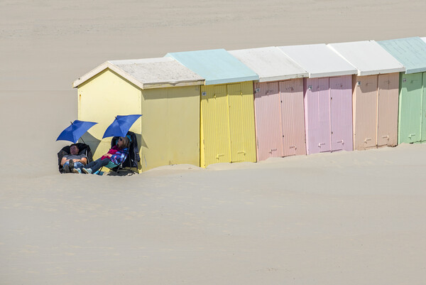 Beach Huts at Berck, Opal Coast, France Picture Board by Arterra 