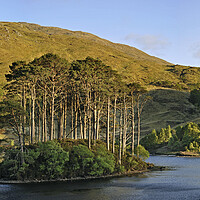 Buy canvas prints of Loch Eilt at Lochaber in the West Highlands, Scotland by Arterra 