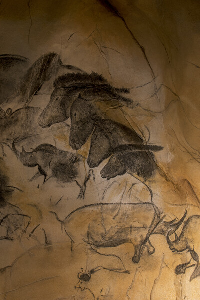 Chauvet Cave Art Picture Board by Arterra 