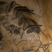 Buy canvas prints of Chauvet Cave Art by Arterra 