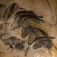 Buy canvas prints of Chauvet Cave Horses by Arterra 