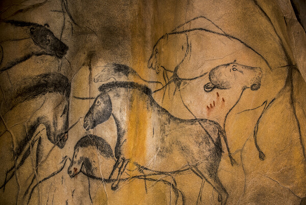 Chauvet Cave Animals Picture Board by Arterra 