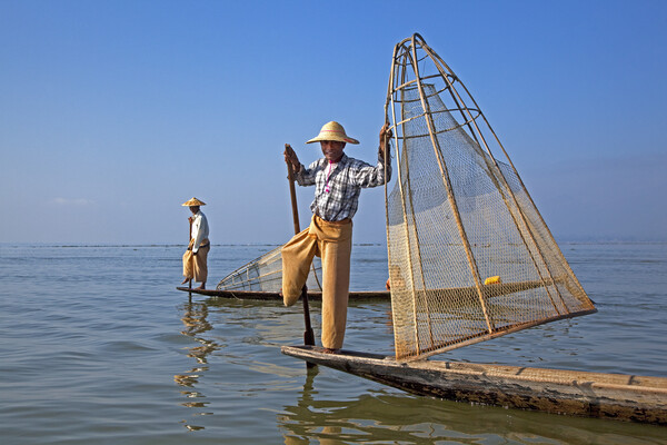 Intha Fishermen on Inle Lake, Burma Picture Board by Arterra 
