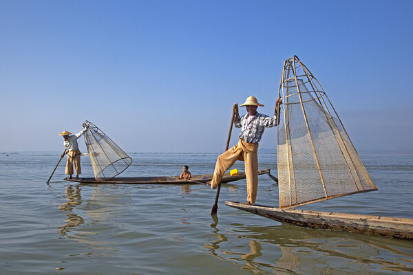 Fishing on Lake Inle, Myanmar Picture Board by Arterra 