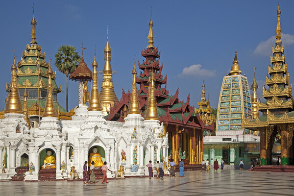 Shwedagon Zedi Daw Pagoda at Yangon / Rangoon, Myanmar Picture Board by Arterra 
