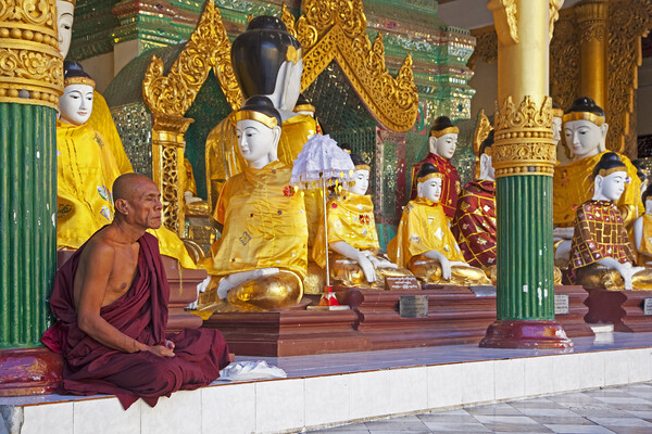 Shwedagon Zedi Daw Pagoda at Yangon / Rangoon, Burma Picture Board by Arterra 