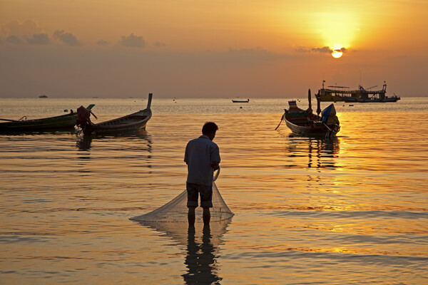 Koh Tao at Sunset, Thailand Picture Board by Arterra 