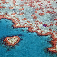 Buy canvas prints of Heart Reef in the Great Barrier Reef, Australia by Arterra 