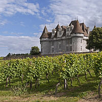 Buy canvas prints of Château de Monbazillac and Vineyard in the Dordogne by Arterra 