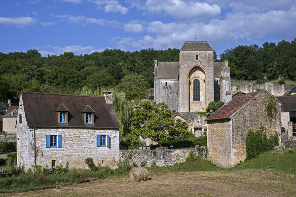 Saint-Amand-de-Coly in the Dordogne, France Picture Board by Arterra 