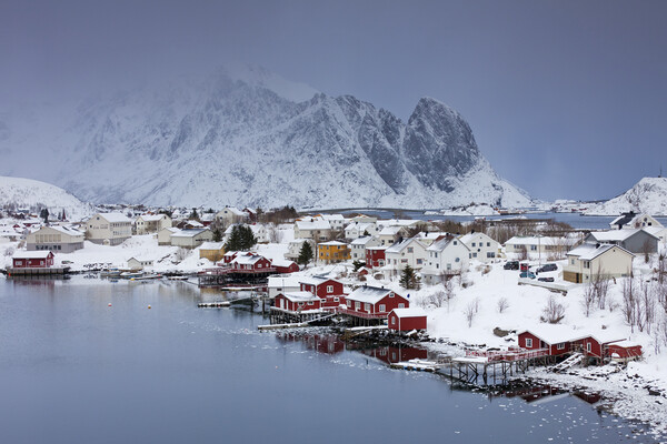 Fishing Village Reine in Winter, Lofoten, Norway Picture Board by Arterra 