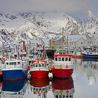 Buy canvas prints of Fishing boats in the Henningsvaer Harbour, Lofoten by Arterra 