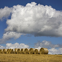 Buy canvas prints of Cumulus Mediocris Clouds over Hay Bales by Arterra 