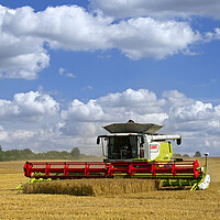 Buy canvas prints of Combine Harvester in Cornfield by Arterra 