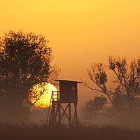 Buy canvas prints of Raised Hunting Stand at Sunrise by Arterra 